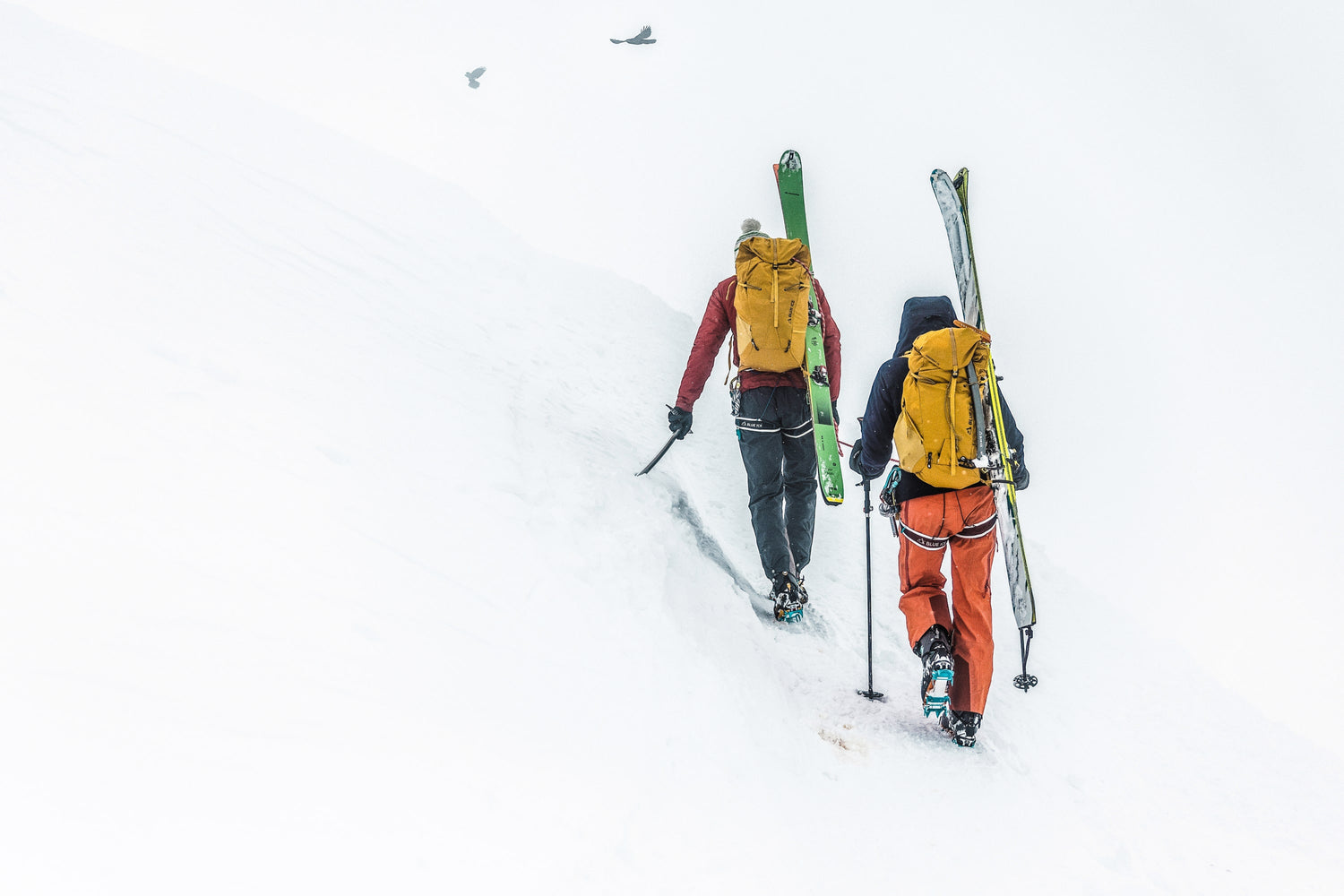 Ski touring backpacks